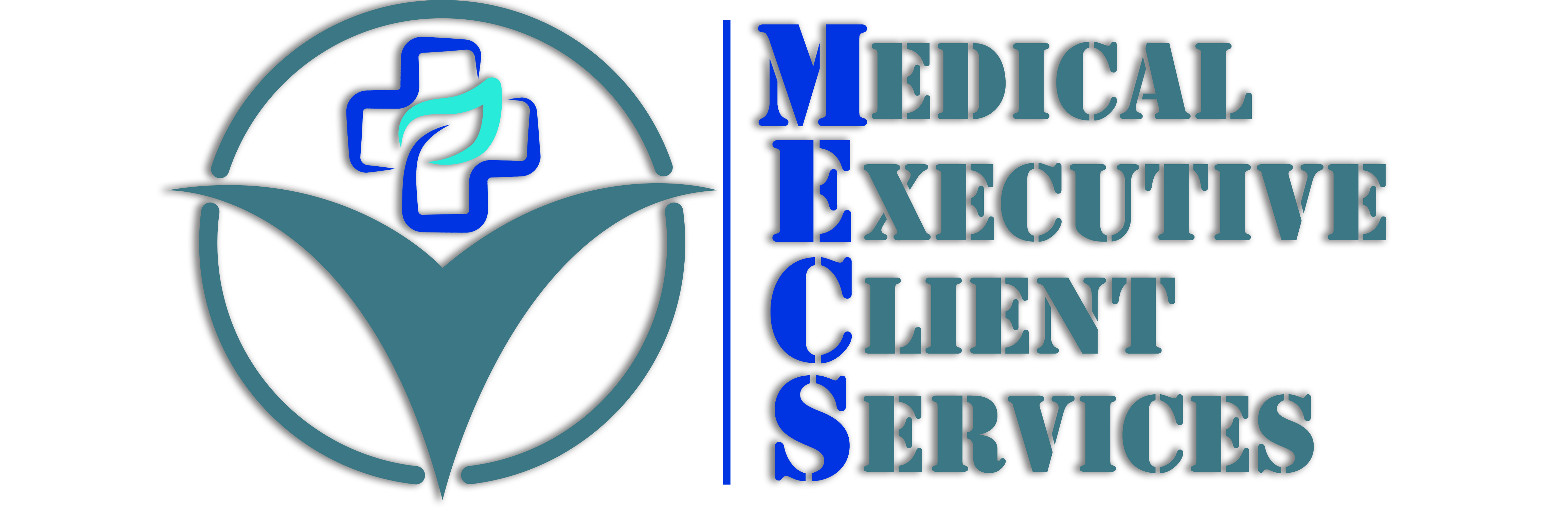 Medical Executive Services